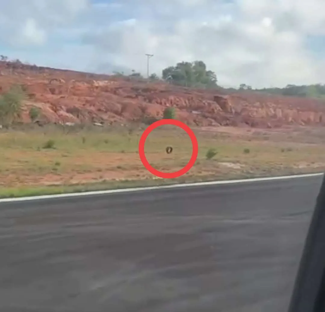 Roda Depan Pesawat Garuda Lepas Saat Mendarat di Bandara Tanjungpinang